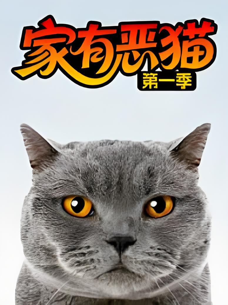 家有恶猫 第一季