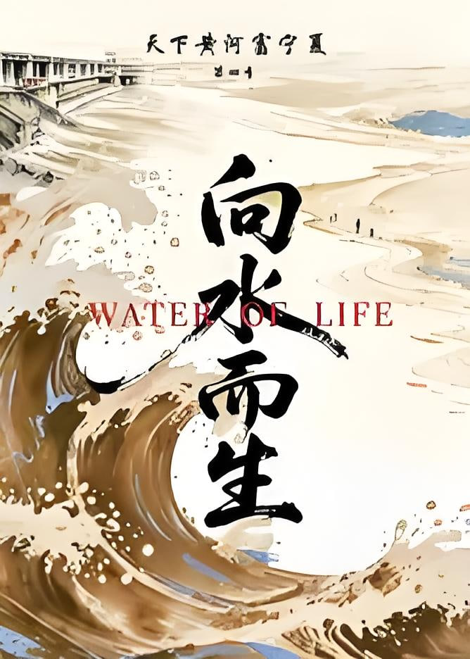 天下黄河富宁夏 第4季(全集)